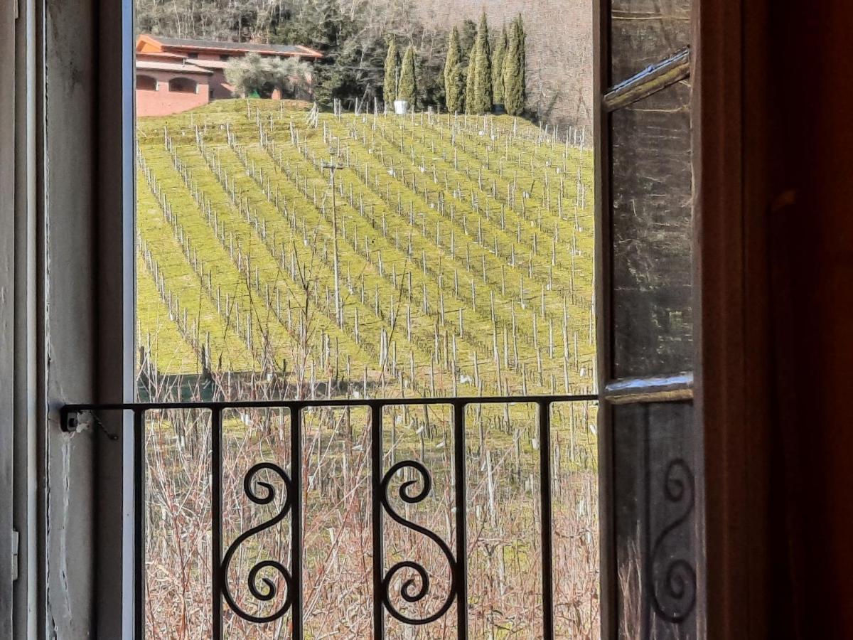 Agriturismo Tenuta Adamo Lucca Exteriör bild