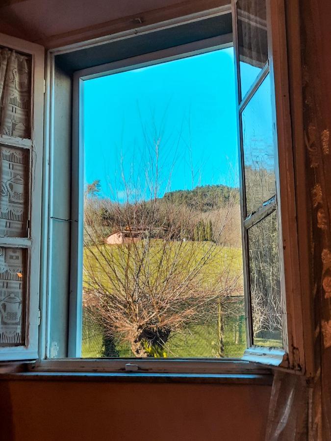 Agriturismo Tenuta Adamo Lucca Exteriör bild